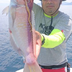 ARCADIAⅡ （アルカディアⅡ） 釣果