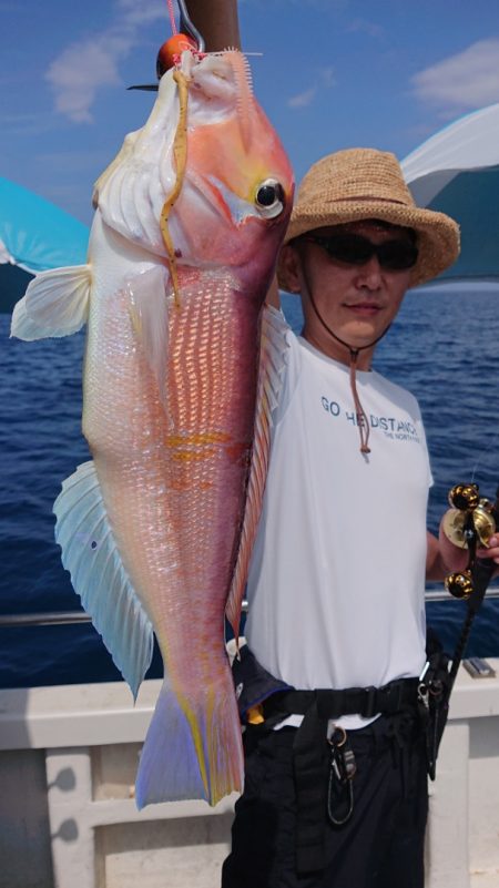 ARCADIAⅡ （アルカディアⅡ） 釣果