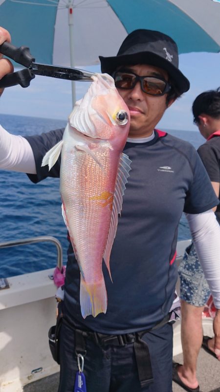 ARCADIAⅡ （アルカディアⅡ） 釣果