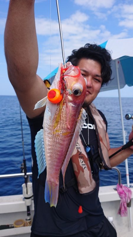 ARCADIAⅡ （アルカディアⅡ） 釣果