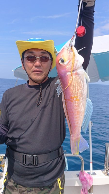 ARCADIAⅡ （アルカディアⅡ） 釣果