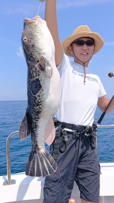 ARCADIAⅡ （アルカディアⅡ） 釣果