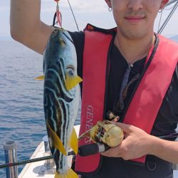 ARCADIAⅡ （アルカディアⅡ） 釣果