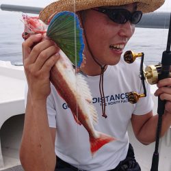 ARCADIAⅡ （アルカディアⅡ） 釣果