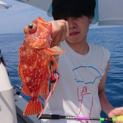 ARCADIAⅡ （アルカディアⅡ） 釣果