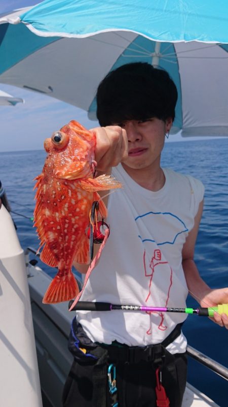 ARCADIAⅡ （アルカディアⅡ） 釣果