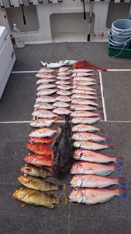 ARCADIAⅡ （アルカディアⅡ） 釣果…