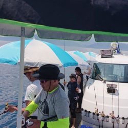 ARCADIAⅡ （アルカディアⅡ） 釣果