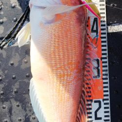 第二龍勢丸 釣果