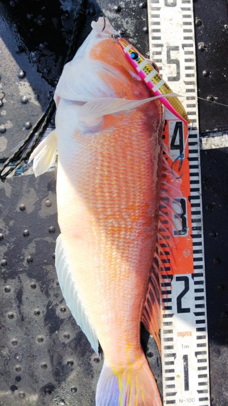 第二龍勢丸 釣果