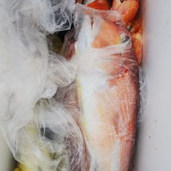 第二龍勢丸 釣果