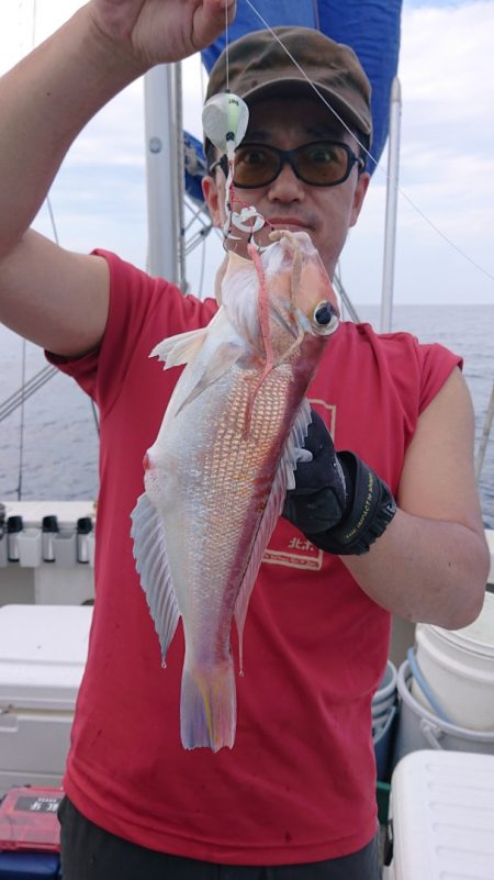 ARCADIAⅡ (アルカディアⅡ) 釣果