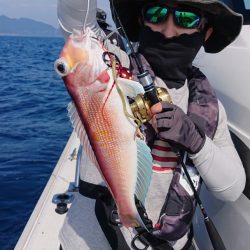 ARCADIAⅡ (アルカディアⅡ) 釣果