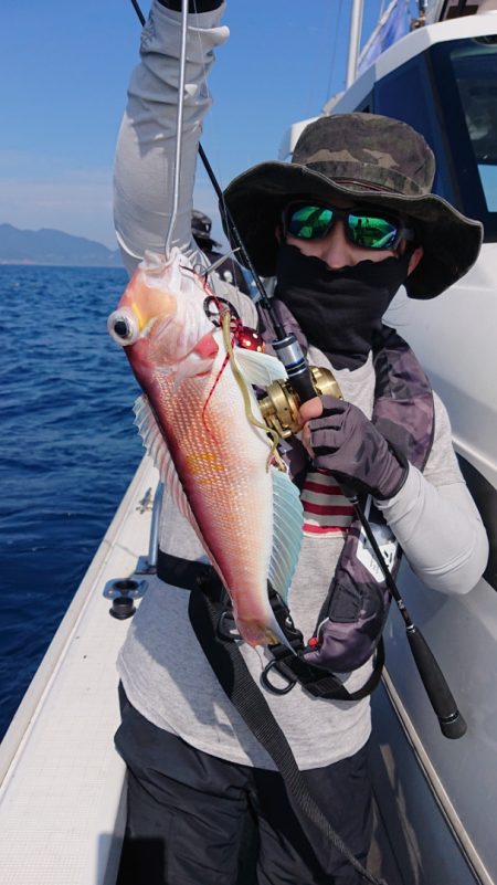 ARCADIAⅡ (アルカディアⅡ) 釣果