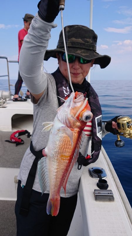 ARCADIAⅡ (アルカディアⅡ) 釣果