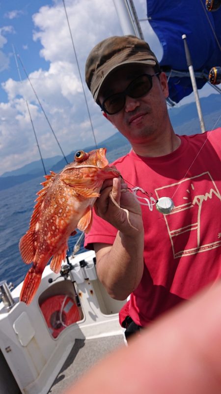 ARCADIAⅡ (アルカディアⅡ) 釣果