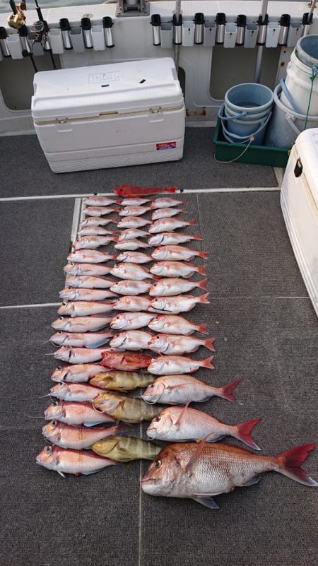 ARCADIAⅡ (アルカディアⅡ) 釣果