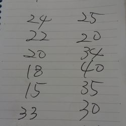 金沢八景鴨下丸 釣果