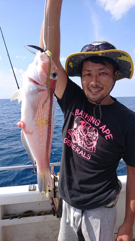 ARCADIAⅡ （アルカディアⅡ） 釣果