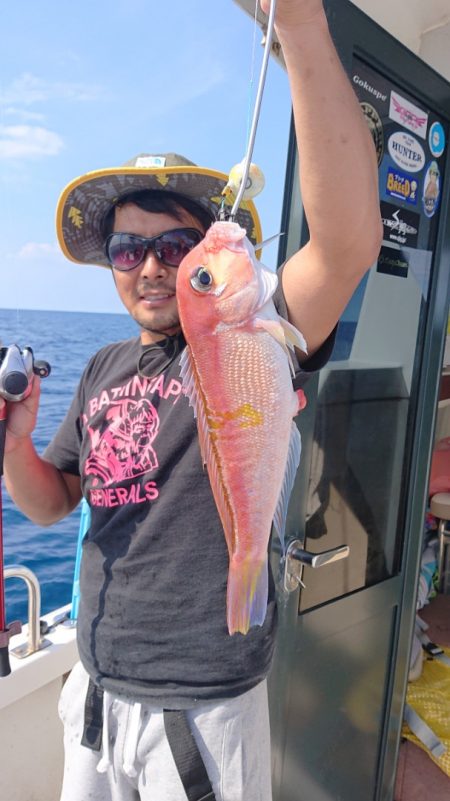 ARCADIAⅡ （アルカディアⅡ） 釣果