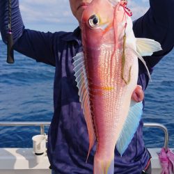 ARCADIAⅡ （アルカディアⅡ） 釣果