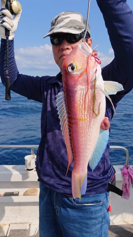 ARCADIAⅡ （アルカディアⅡ） 釣果