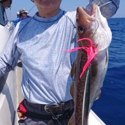 ARCADIAⅡ （アルカディアⅡ） 釣果