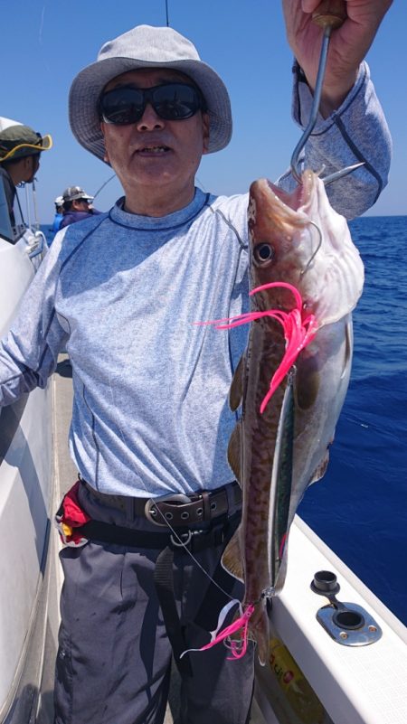 ARCADIAⅡ （アルカディアⅡ） 釣果