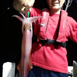 LUSTER『ラスター』 釣果