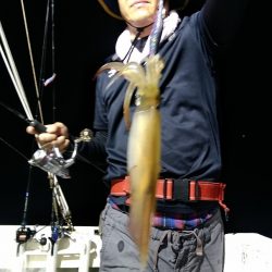 LUSTER『ラスター』 釣果