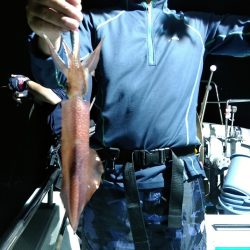 LUSTER『ラスター』 釣果