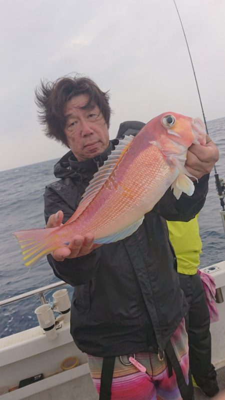 ARCADIAⅡ (アルカディアⅡ) 釣果