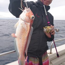 ARCADIAⅡ (アルカディアⅡ) 釣果