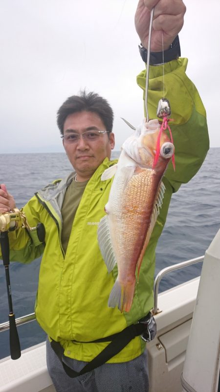 ARCADIAⅡ (アルカディアⅡ) 釣果