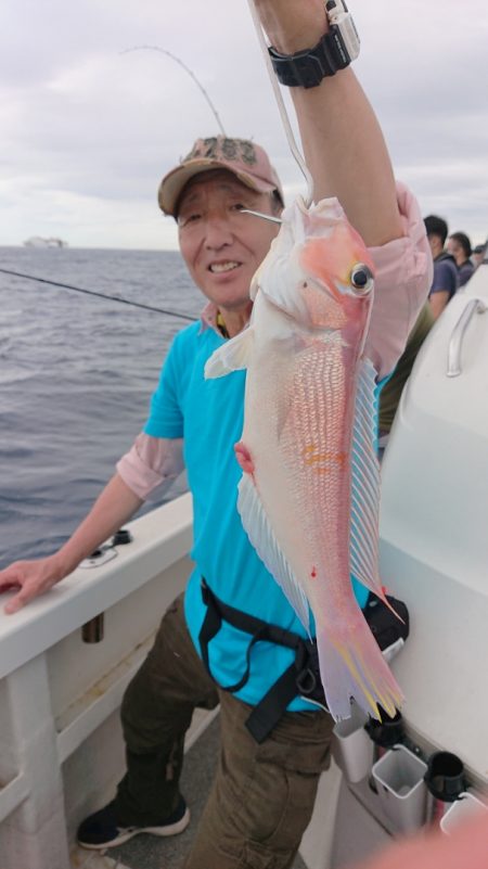 ARCADIAⅡ (アルカディアⅡ) 釣果