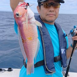 ARCADIAⅡ (アルカディアⅡ) 釣果