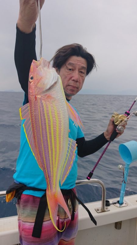 ARCADIAⅡ (アルカディアⅡ) 釣果