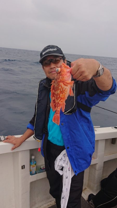 ARCADIAⅡ (アルカディアⅡ) 釣果