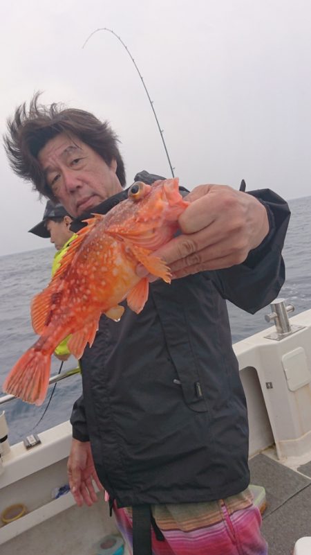 ARCADIAⅡ (アルカディアⅡ) 釣果