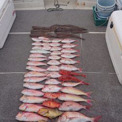 ARCADIAⅡ (アルカディアⅡ) 釣果