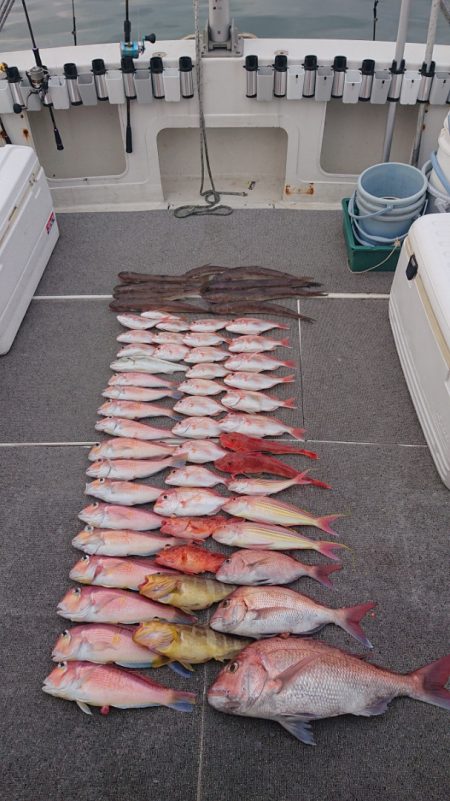 ARCADIAⅡ (アルカディアⅡ) 釣果