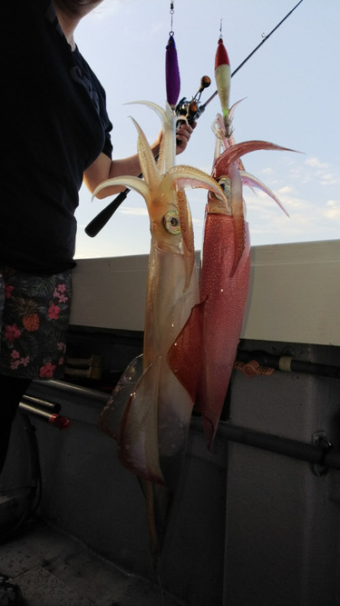 第二龍勢丸 釣果