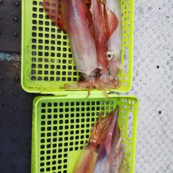 第二龍勢丸 釣果