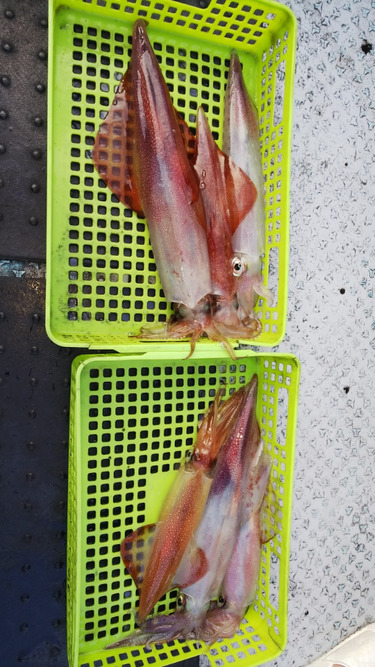 第二龍勢丸 釣果