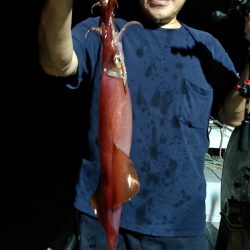 LUSTER『ラスター』 釣果