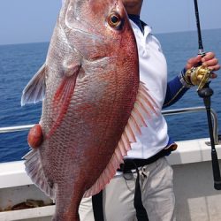 ARCADIAⅡ (アルカディアⅡ) 釣果