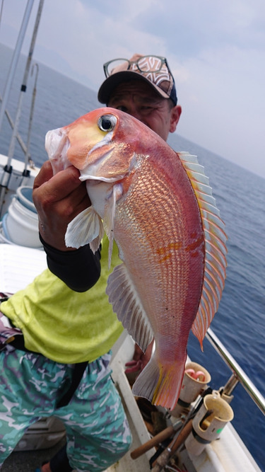 ARCADIAⅡ (アルカディアⅡ) 釣果