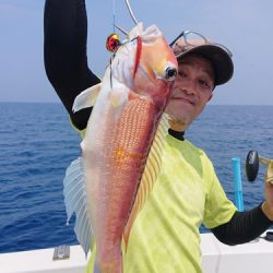 ARCADIAⅡ (アルカディアⅡ) 釣果