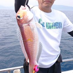 ARCADIAⅡ (アルカディアⅡ) 釣果