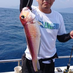 ARCADIAⅡ (アルカディアⅡ) 釣果